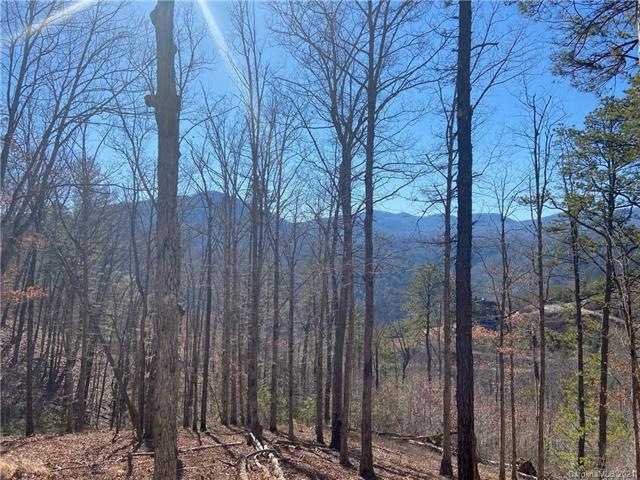 Homesite 66 in The Bluffs at French Broad Crossing
