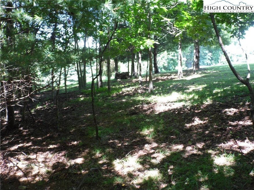 TBD Hickory View Dr unit 34, Sparta, NC 28675 - photo 1