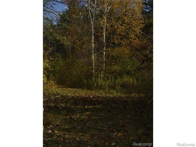 OPEN SPACE