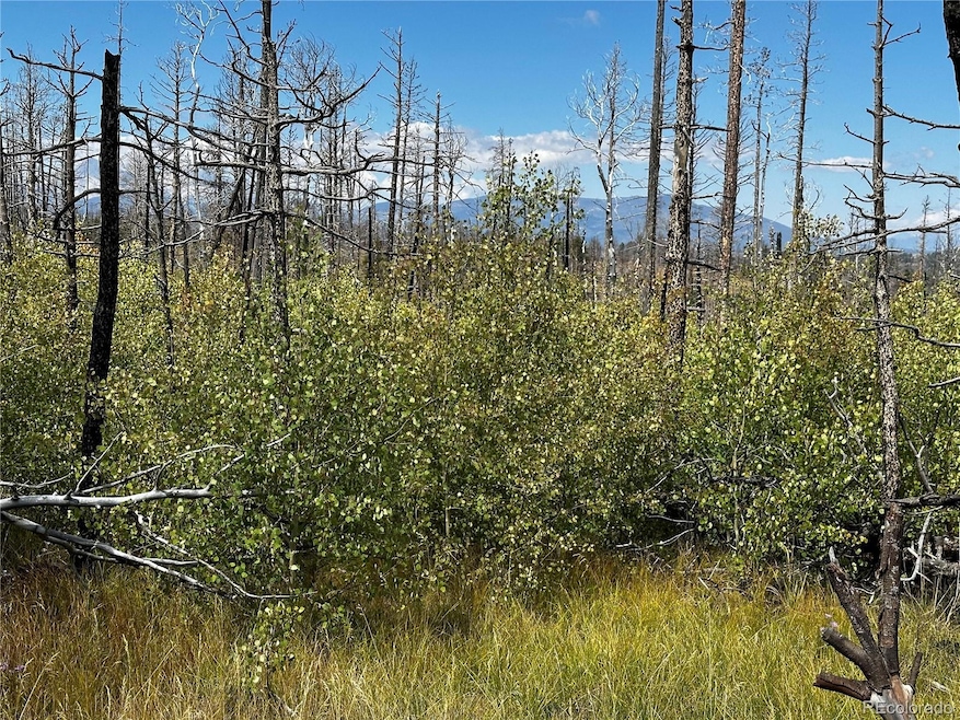 1175-1176 Macomber Ln unit 1175-1176, Fort Garland, CO 81133 - photo 1