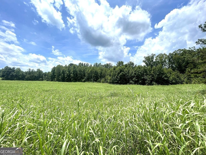 0 Stinchcomb Rd unit 10384655, Elberton, GA 30635 - photo 1