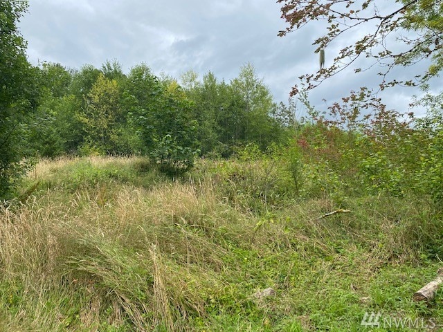 1 Hinkley Rd, Toledo, WA 98591 - photo 1