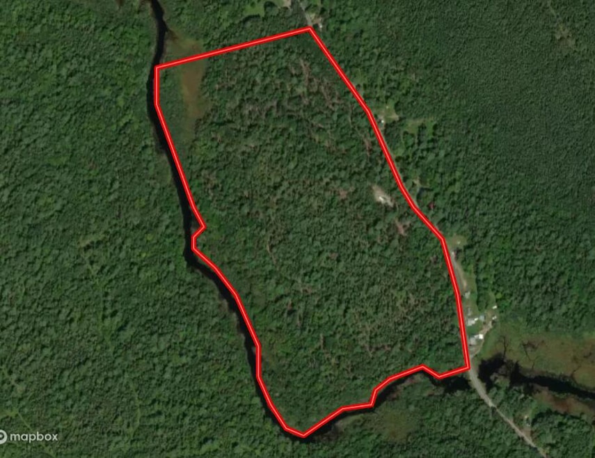 Lot 1 Spring Bridge Rd, Greenbush, ME 04418 - photo 1
