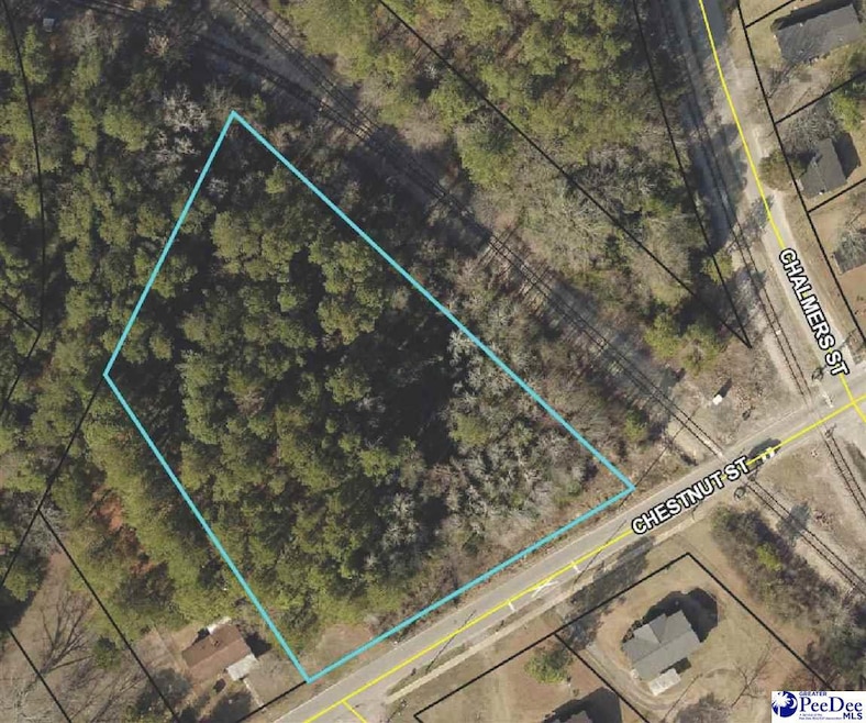 TBD Chestnut St, Darlington, SC 29532 - photo 1