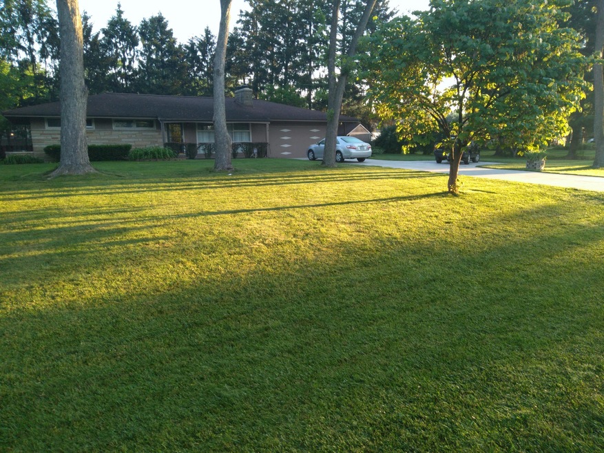 front 1