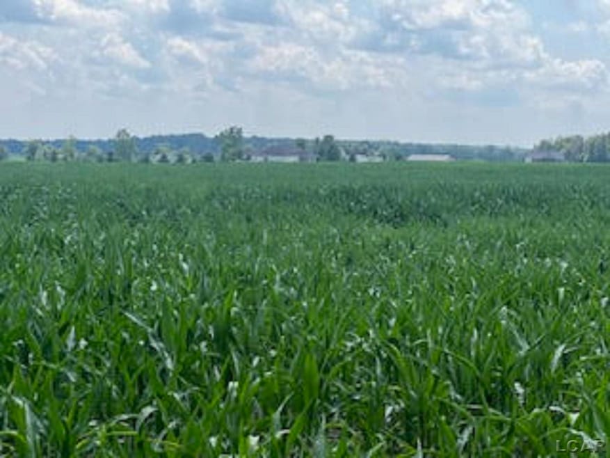 1000 Dinius Rd unit 1000 Blk., Tecumseh, MI 49286 - photo 1