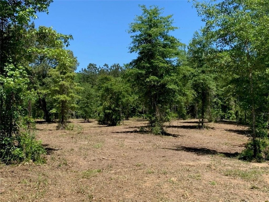 TBD J Scott Dr unit Lot 78, Pineville, LA 71360 - photo 1