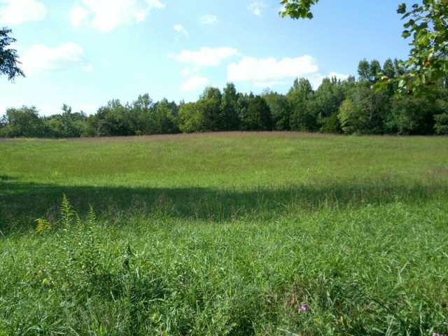 3.45 AC Hopper Ln, Cookeville, TN 38506 - photo 1