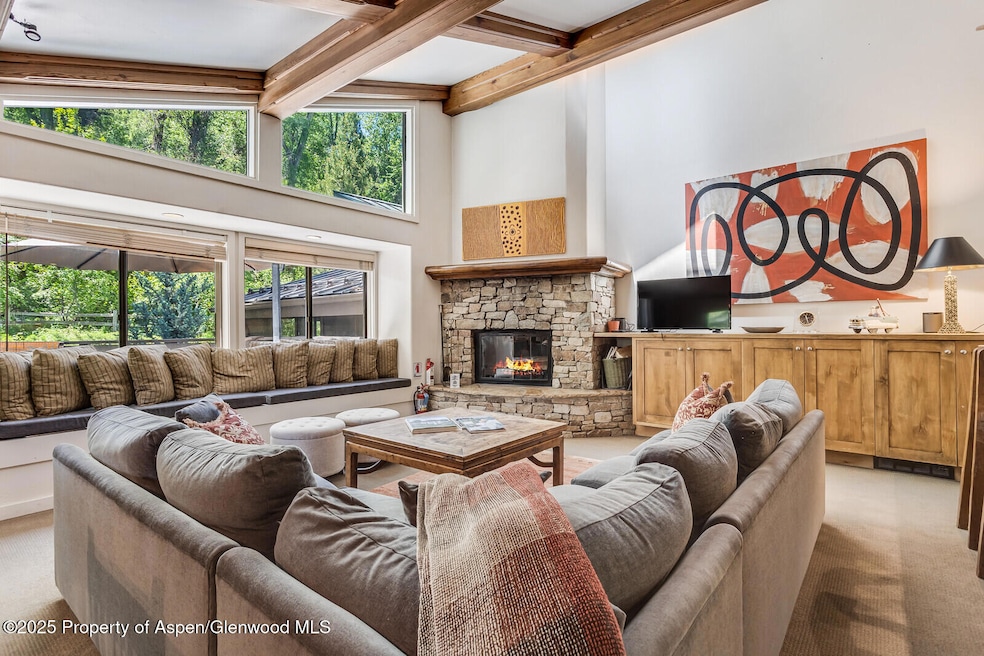 851 S Ute Ave unit B, Aspen, CO 81611 - photo 1