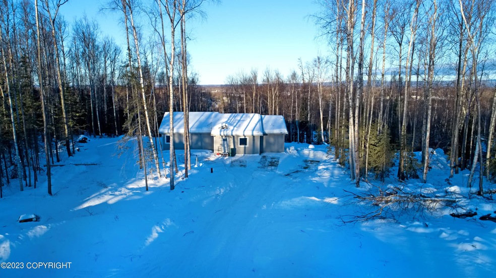 9539 W Blue Moon Cir, Wasilla, AK 99654 - photo 1