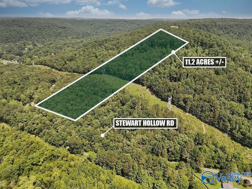 11 acres Stewart Hollow Rd, Grant, AL 35747 - photo 1