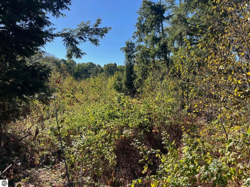 Sold $71,000 • Co-Listing Agent