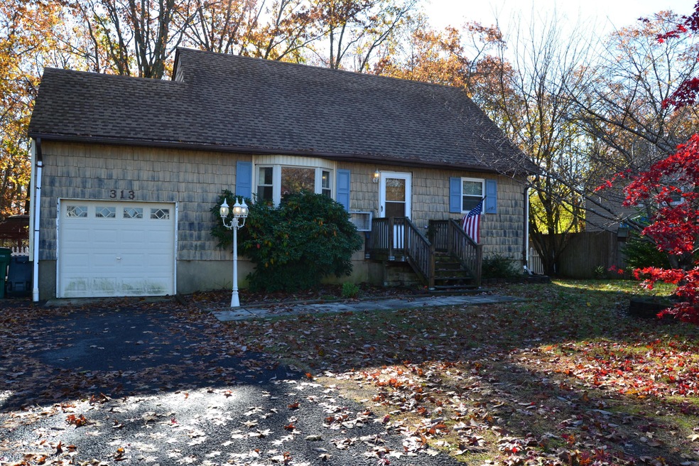 313 Aldrich
