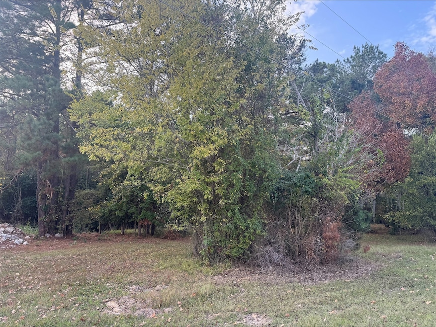 0 Silver Hickory Dr unit 50047653, Coldspring, TX 77331 - photo 1