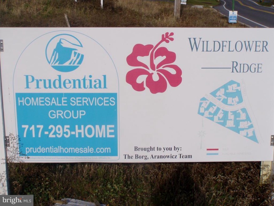 317 Wildflower Dr, East Earl, PA 17519 - photo 1