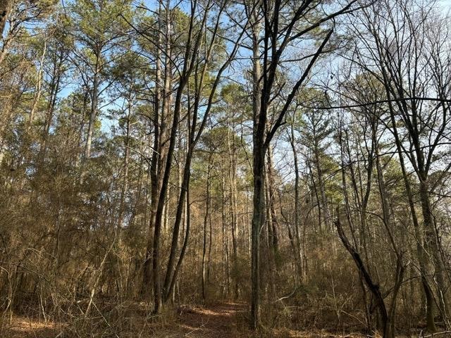 2994 Mount Zion Rd, Carrollton, GA 30117 - photo 1