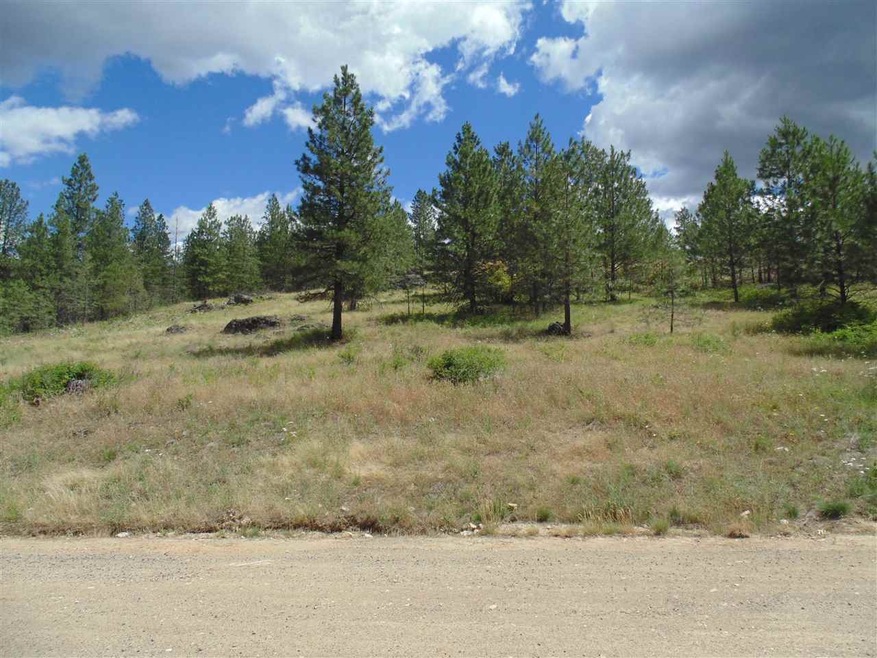 00 E Robin Lane Lot 4 Ln, Chattaroy, WA 99003 - photo 1