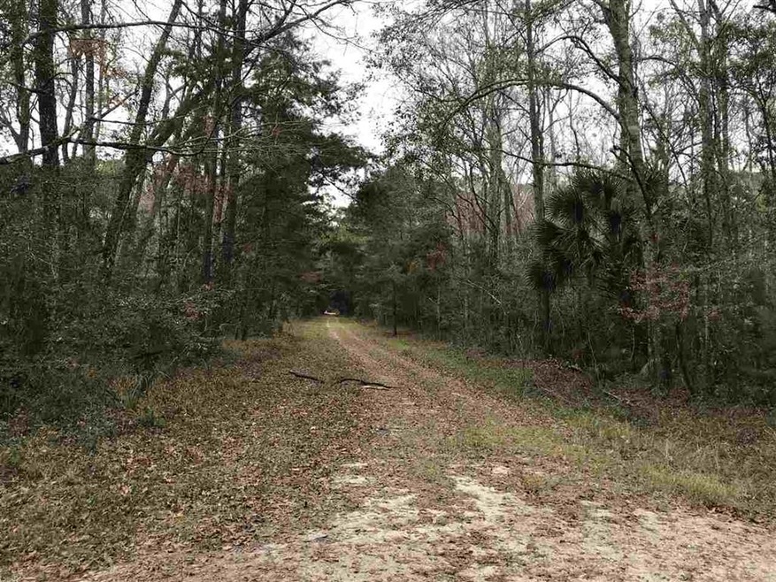 Lots 29-32 Owl Ln, Crawfordville, FL 32327 - photo 1
