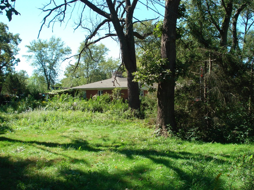 9513-17 Forest Place, Des Plaines, IL 60016 - photo 1