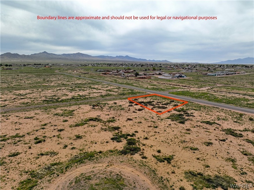 View of bird's eye view