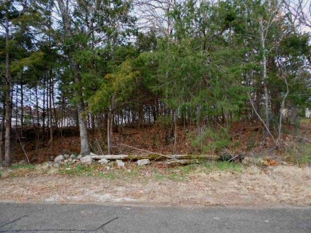 0 Cedar Ln unit 11301511, Kimberling City, MO 65686 - photo 1