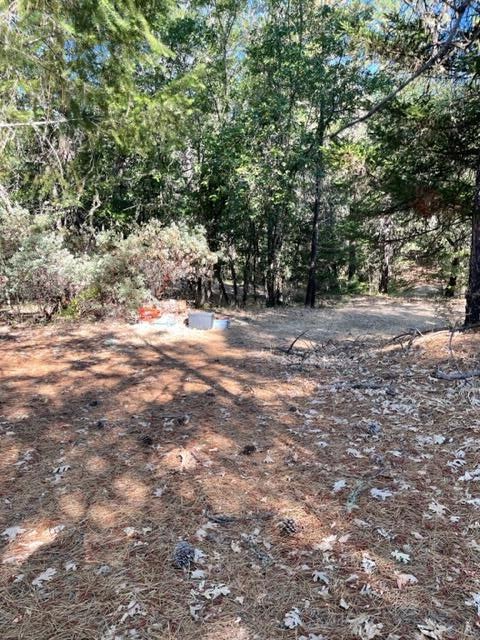 homesite 1