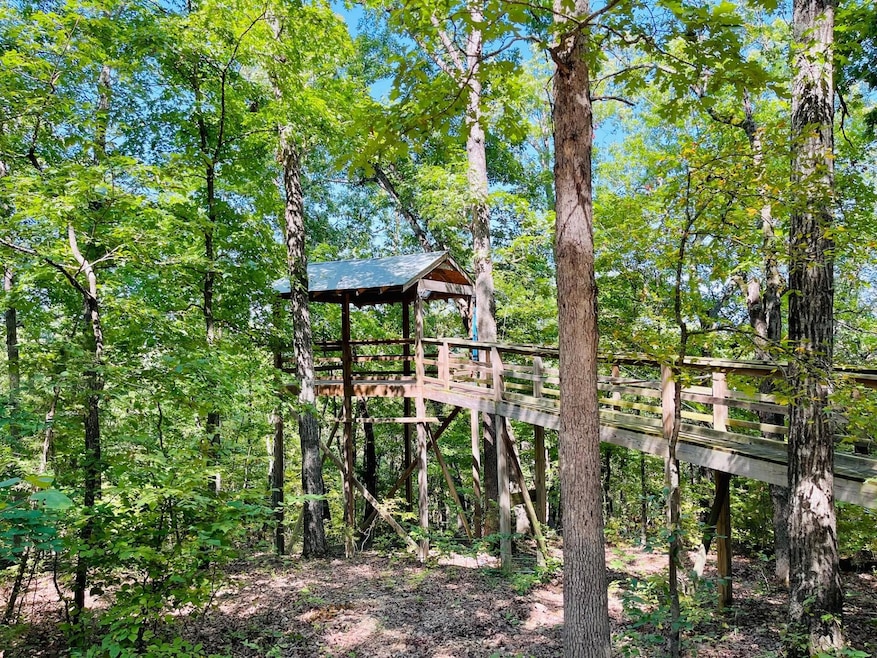 2362 N State Highway 265 unit 20 Acres M/L, Branson, MO 65616 - photo 1