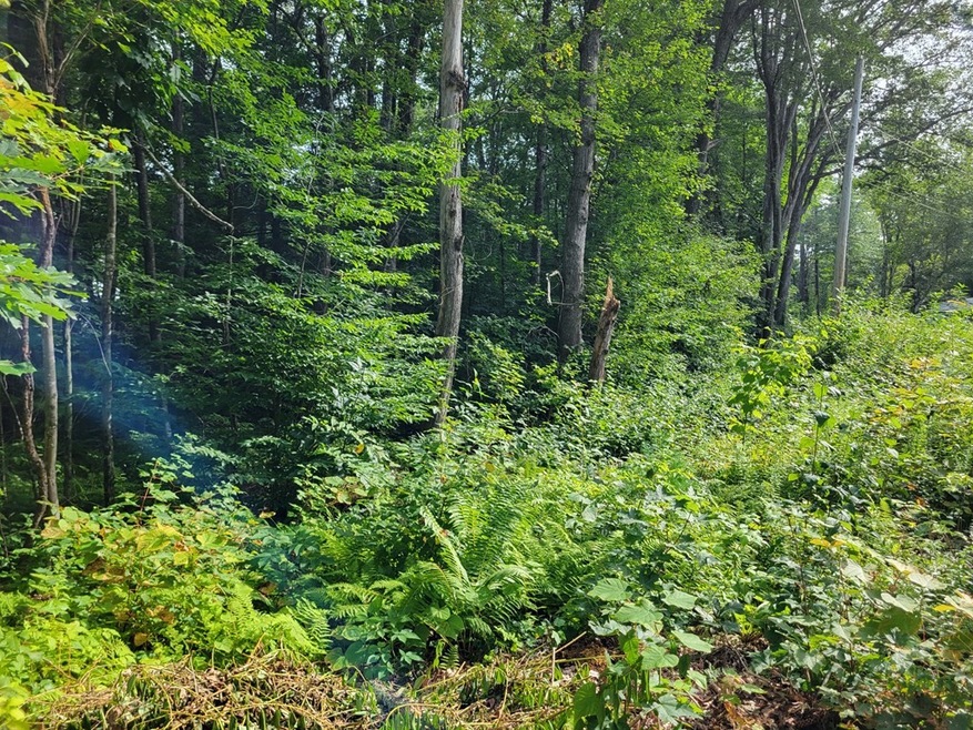 80 Sandy Cove Rd, Lunenburg, MA 01462 - photo 1