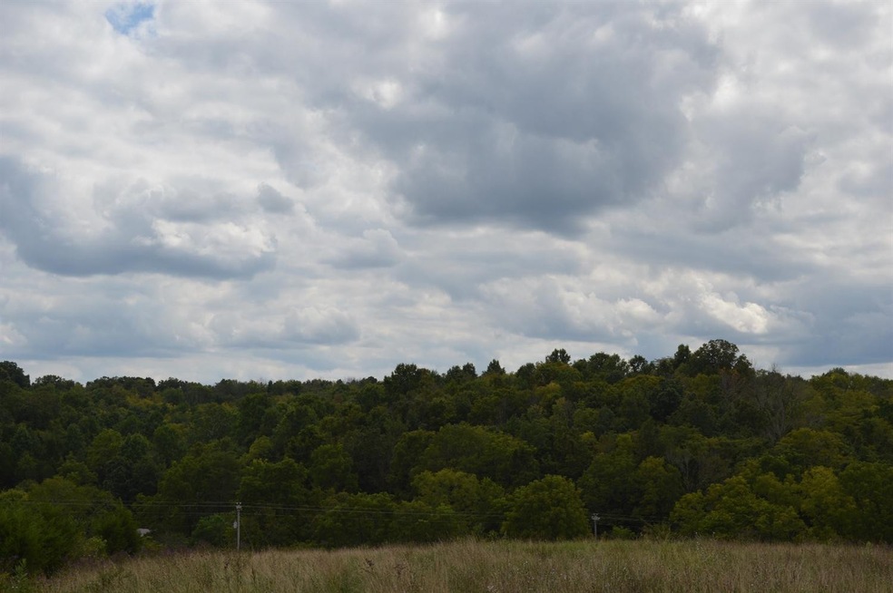 0 Bear Creek Rd, Lawrenceburg, KY 40342 - photo 1