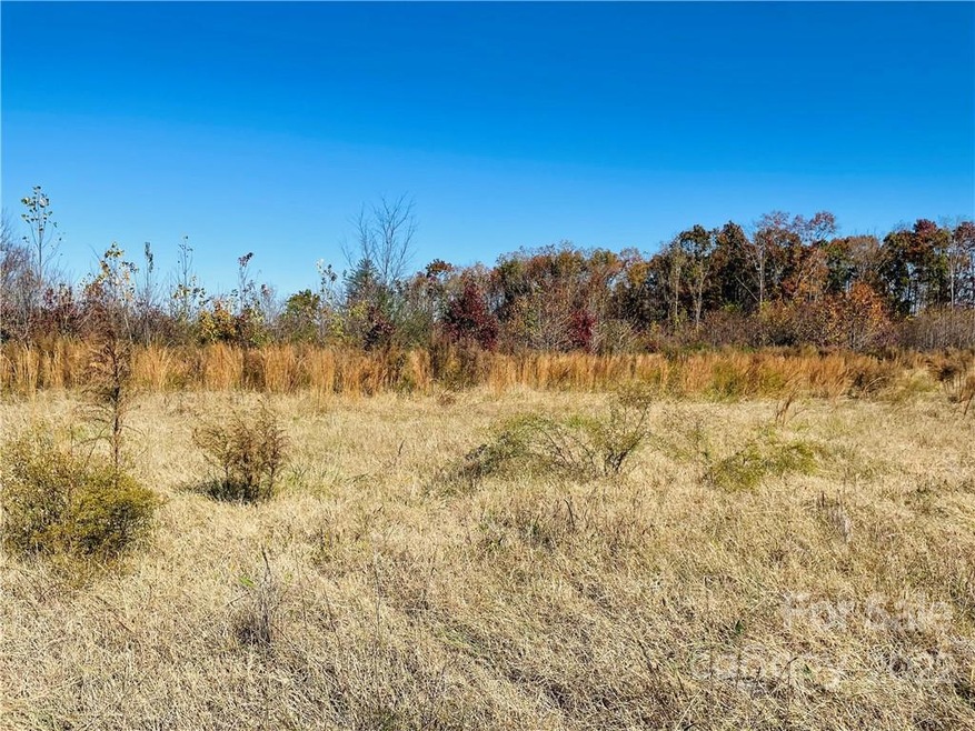 00 N Chipley Ford Rd, Statesville, NC 28625 - photo 1