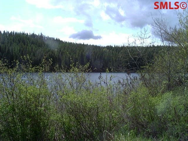 1695 Kelso Lake Rd, Athol, ID 83801 - photo 1