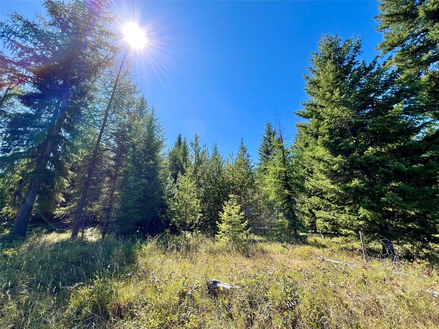 Nhn Sapphire Ln E unit Lot 3, Trout Creek, MT 59874 - photo 1