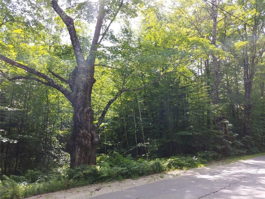 Start of land