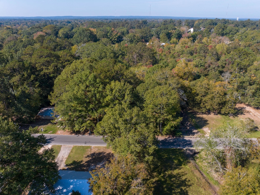 1419 Hendricks St, Columbia, MS 39429 - photo 1