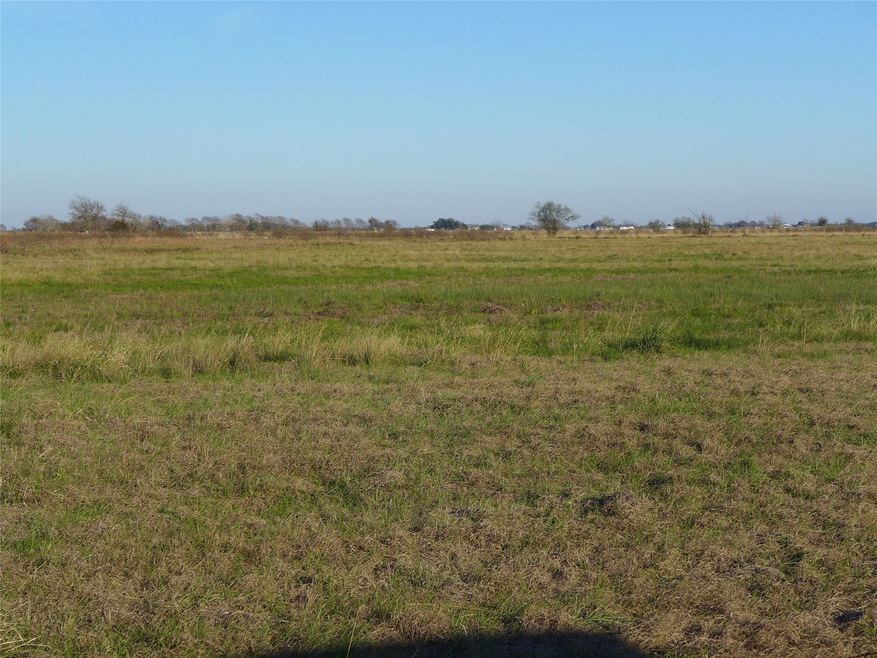 0000 W Tavener Rd, Beasley, TX 77417 - photo 1