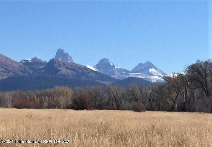 Teton View