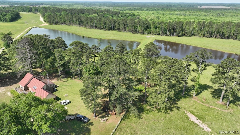 887 Highway 239, Midway, AL 36016 - photo 1