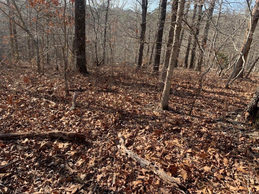 Lot 41 Morley Dr, Bella Vista, AR 72714 - photo 1