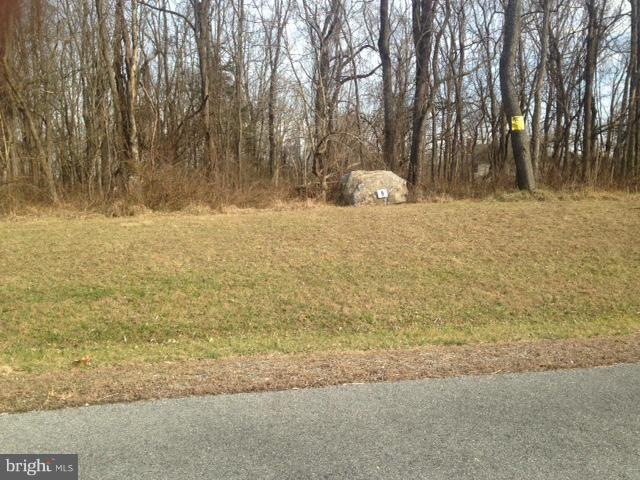 0 Shveda Way unit 1000221529, Shepherdstown, WV 25443 - photo 1