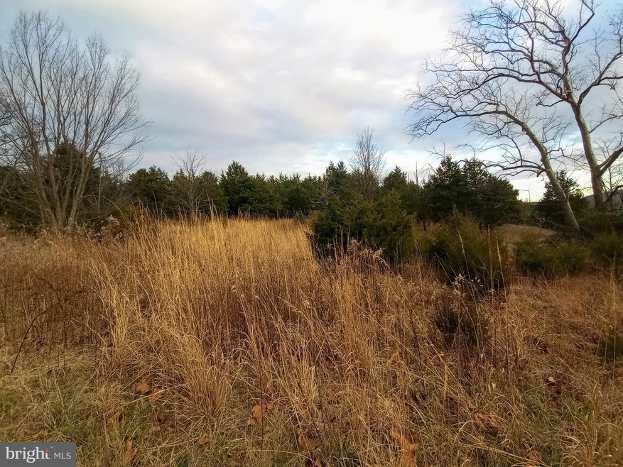 Lot 13 Sky Valley Sub Div Sec II, Cabins, WV 26855 - photo 1