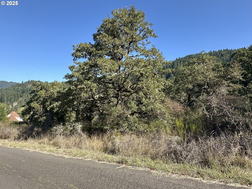 728 Cemetery Rd, Drain, OR 97435 - photo 1