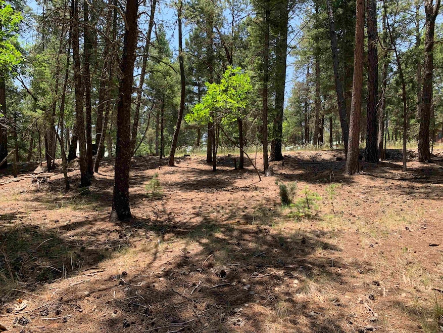 7 Timber Wolf unit 6 &24, Mayhill, NM 88339 - photo 1