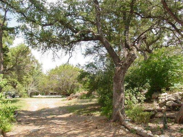 Oaks on front view entering lot