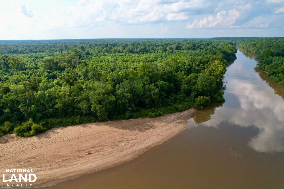 0 Hwy 19 N, Lumber City, GA 31549 - photo 1