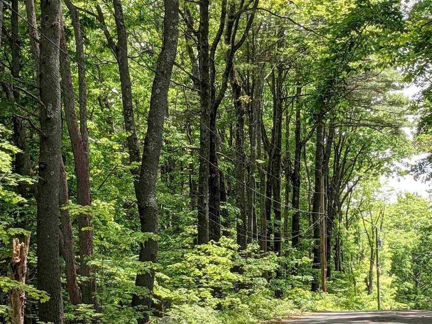 Sold $34,000 • Co-Listing Agent