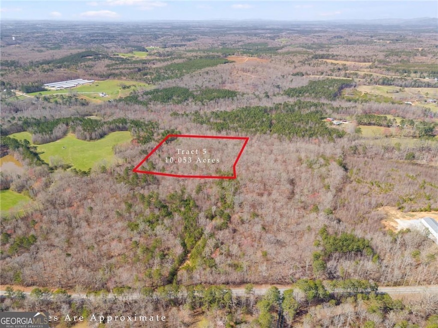 Tract5 Georgia 100, Buchanan, GA 30113 - photo 1