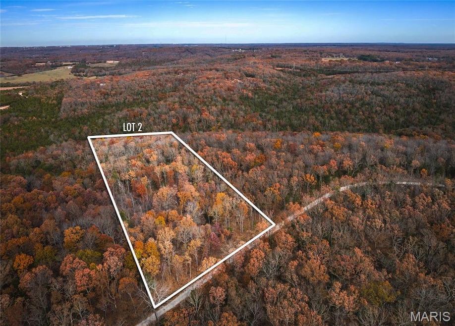 View of property location with property parcel outlined and a heavily wooded area