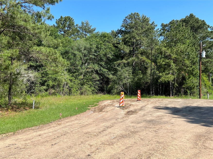 22091 Bryantwood Ct, Hockley, TX 77447 - photo 1