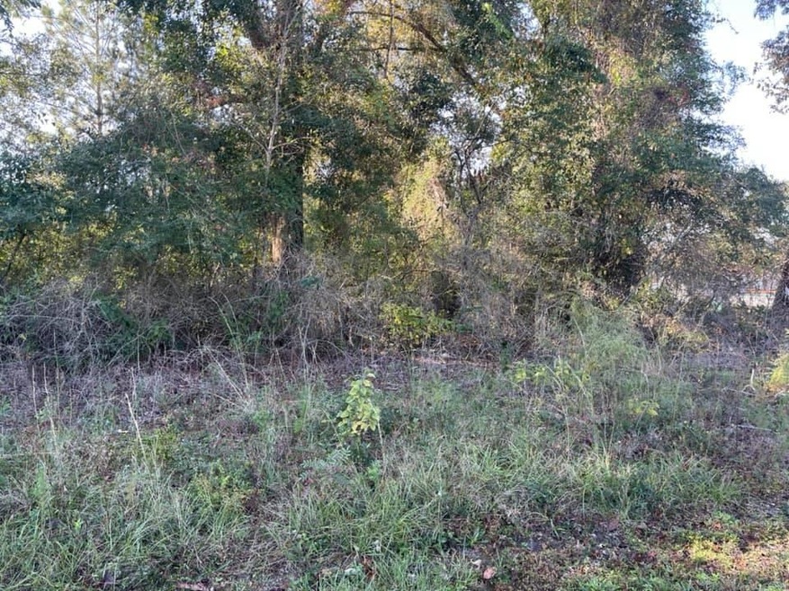 Lots 9 & 10 3rd Ave E, Florala, AL 36442 - photo 1