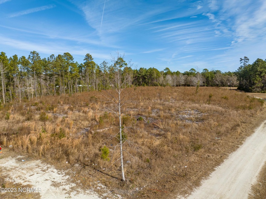 119 Douglas Dr, Holly Ridge, NC 28445 - photo 1